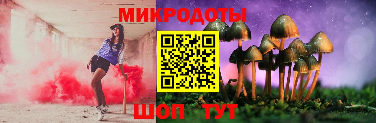 Псилоцибиновые грибы Psilocybe Ессентуки